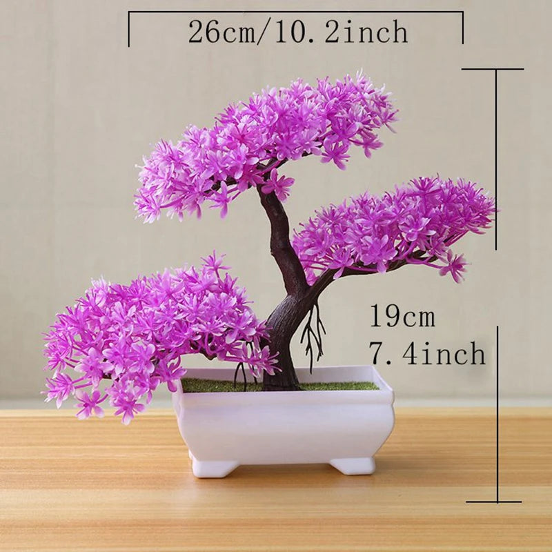 Bonsai Tree