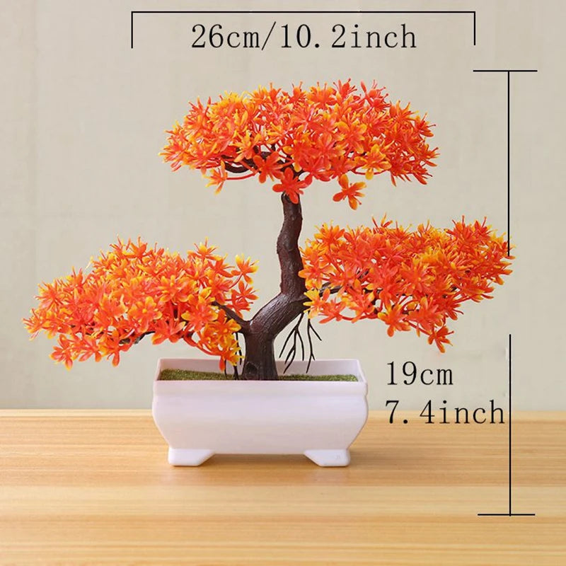 Bonsai Tree
