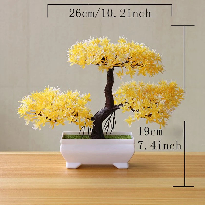 Bonsai Tree