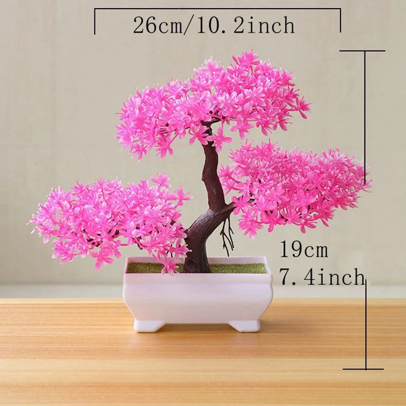 Bonsai Tree