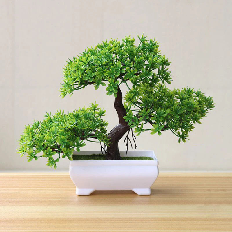 Bonsai  Tree