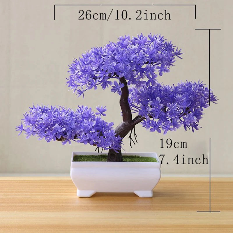 Bonsai  Tree