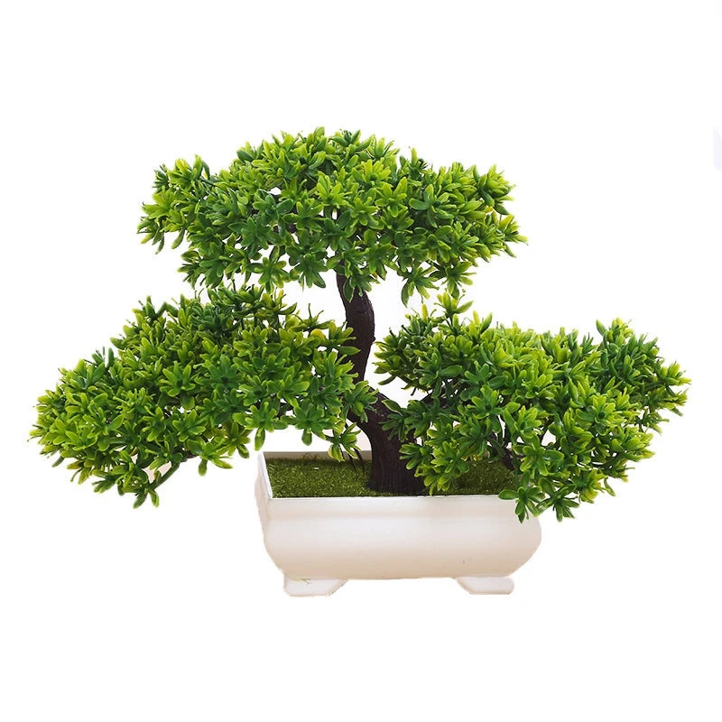 Bonsai  Tree