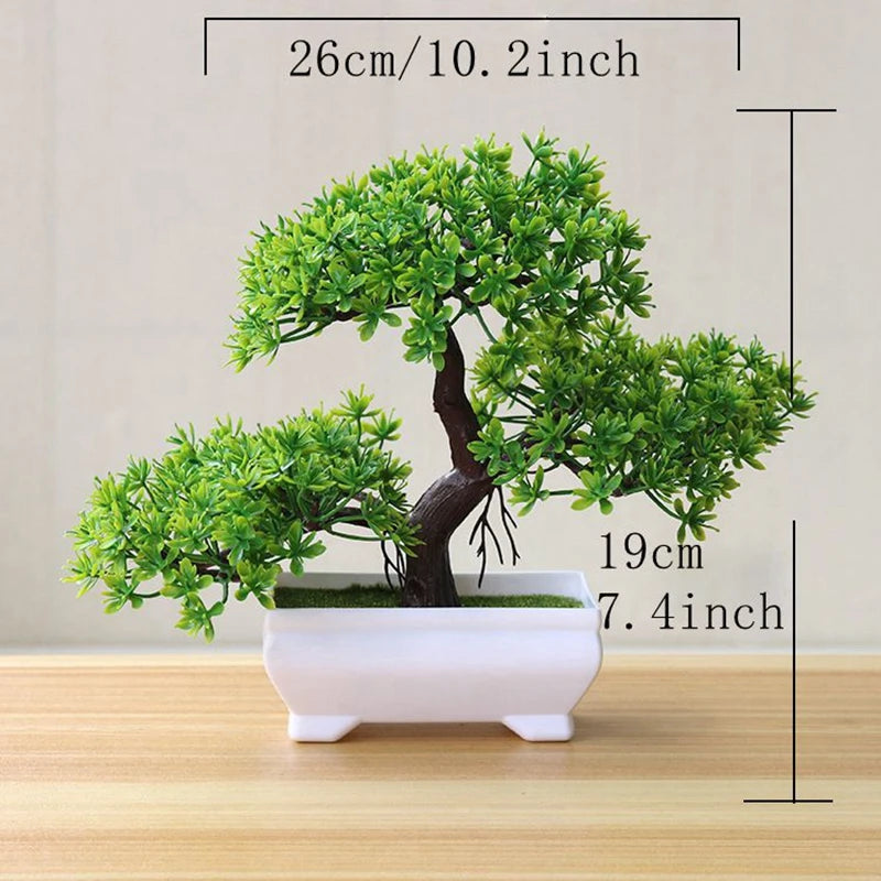 Bonsai  Tree