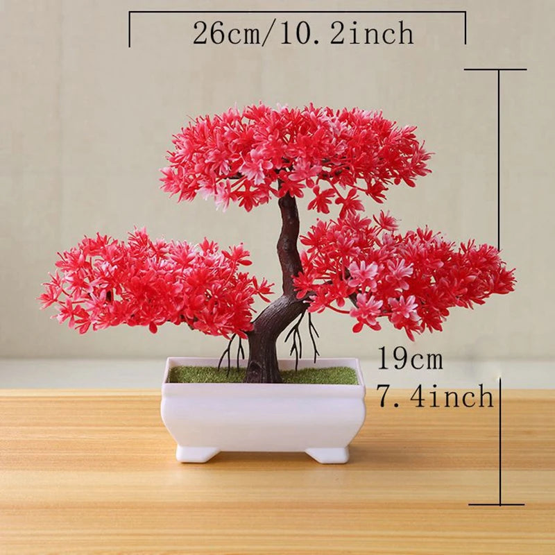 Bonsai  Tree